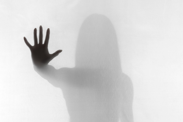 De olifant en de professional